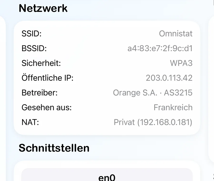 Die Netzwerkkarte mit Netzname, Sicherheit, öffentlicher IP, Anbieter und NAT-Typ.