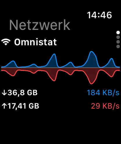 Omnistat auf der Apple Watch mit Netzwerkdetails.