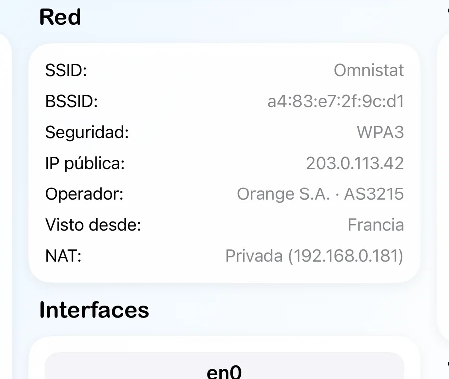 La tarjeta de red con el nombre de la red, la seguridad, la IP pública, el operador y el tipo de NAT.