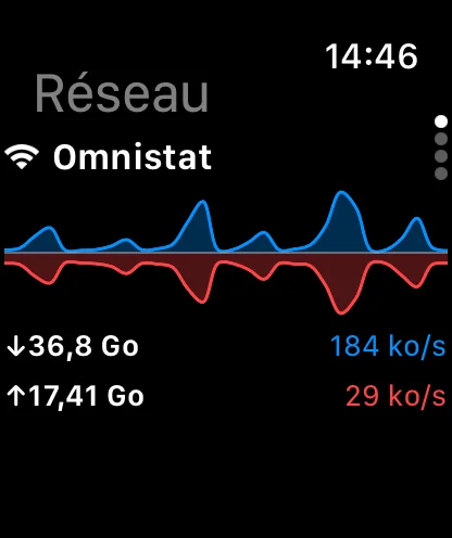 Omnistat sur Apple Watch avec le détail du réseau.