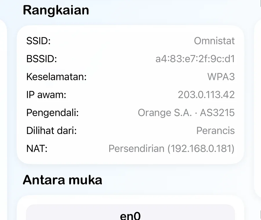 Kad rangkaian dengan nama rangkaian, keselamatan, IP awam, pengendali dan jenis NAT.