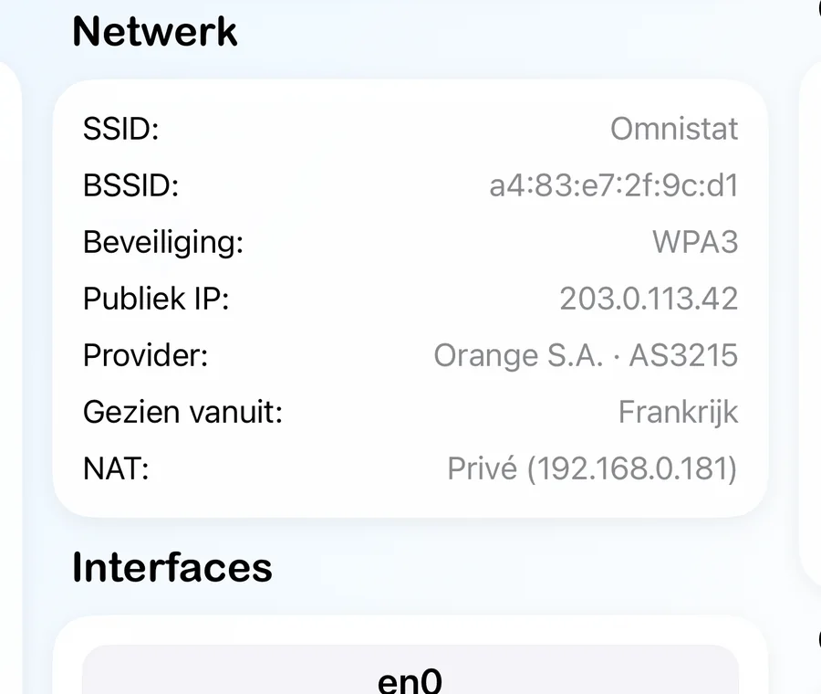 De netwerkkaart met netwerknaam, beveiliging, publiek IP, provider en NAT-type.