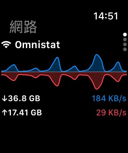 Apple Watch 上顯示網路詳細資訊的 Omnistat。